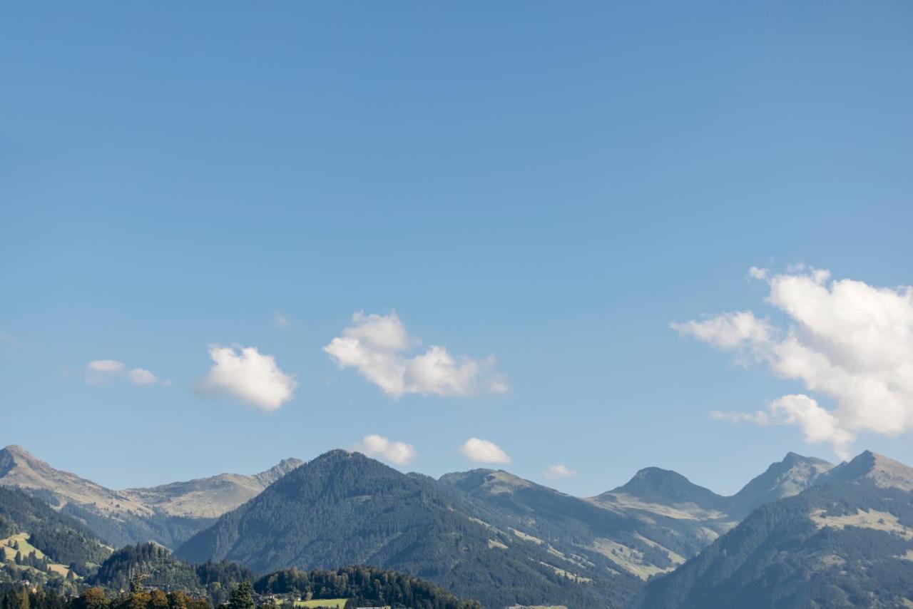 Hornhaus Apartment Kitzbuhel